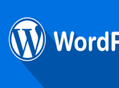 WordPrees网站中如何更好设置TDK